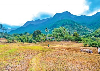 කවුරුත් නැතිව තනිවුණු ලංකාවේ කුඩාම ගම