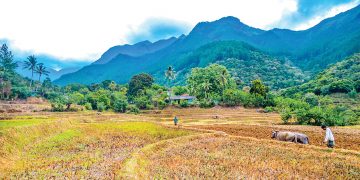 කවුරුත් නැතිව තනිවුණු ලංකාවේ කුඩාම ගම