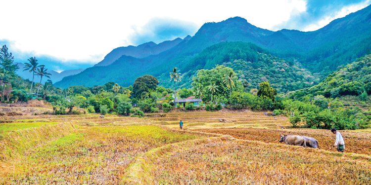 කවුරුත් නැතිව තනිවුණු ලංකාවේ කුඩාම ගම