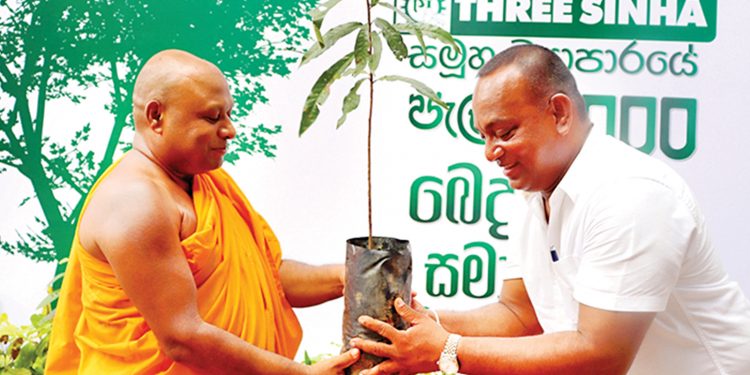 ත්රී සිංහ සමූහ ව්යාපාරය දසදහසක් පැළ සිටුවයි