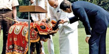 යූඑන්පී අපේක්ෂකයා ‌තෝරන්නේ ‌මෙහෙමෙයි… (උපුල් ‌ජෝෂප් ප්‍රනාන්දුගේ ගුරුදා විග්‍රහය)