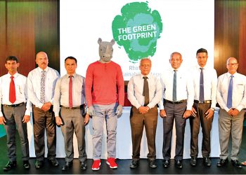 රයිනෝ සමූහය නව තිරසර සංවර්ධන මාවතක