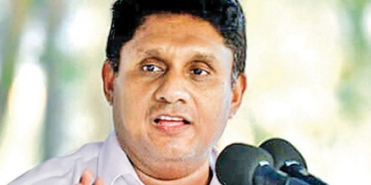 ගෝඨාට එරෙහි සටනට සුදුස්සා කව්ද? තීන්දු කරන්න කලින් කියවන්න