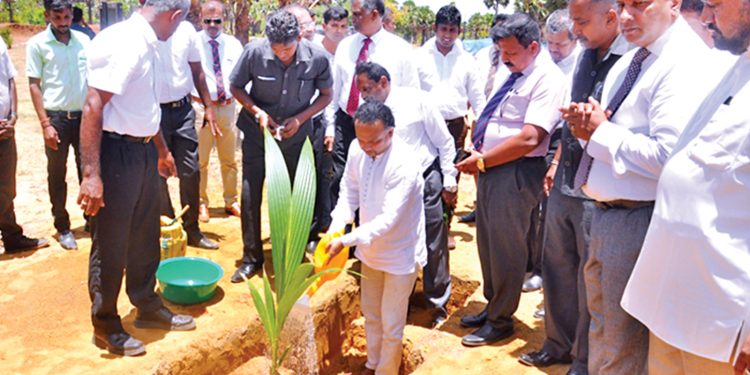 Tropicoir නව කර්මාන්ත ශාලාවක් උතුරට