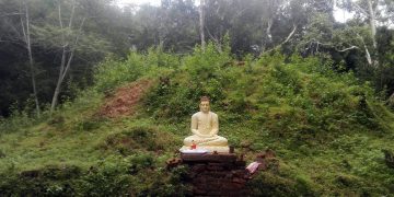 වවුනියාවේ සැඟවුණු හාස්කම් පිරි පුදබිම