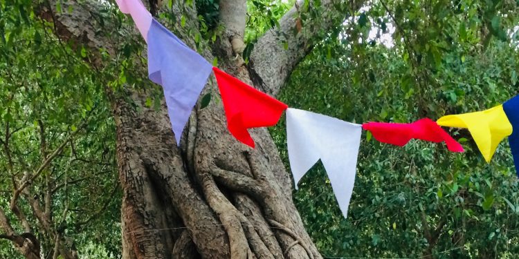 ජනපතිලා අගමැතිලා වැන්ද යාල කැලේ මැද රහස් බෝධිය