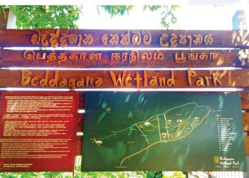කොළඹ රටේ වනන්තරේ…