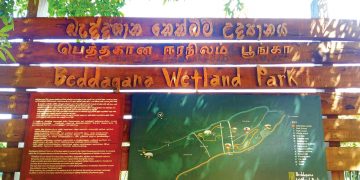 කොළඹ රටේ වනන්තරේ…