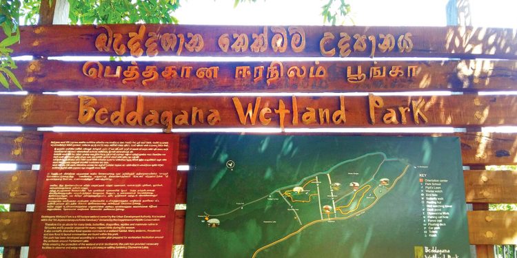 කොළඹ රටේ වනන්තරේ…