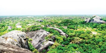 යෝධ චන්ඩි කරක් ගහපු කුඩුම්බිගල කන්ද