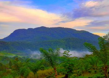 බුදුහාමුදුරුවෝ සිරිපතුල නොතිය ගිය කන්ද