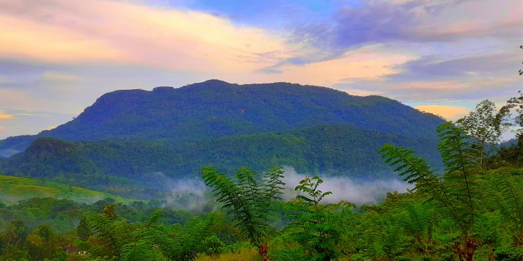 බුදුහාමුදුරුවෝ සිරිපතුල නොතිය ගිය කන්ද