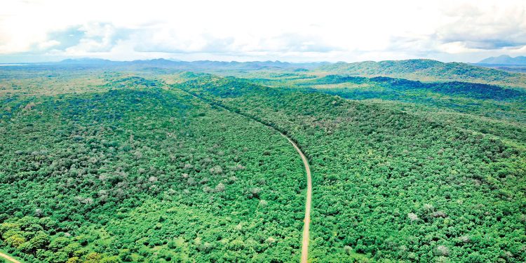 වැඩිම දුරක් කෝච්චි පාරේ