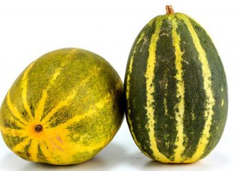 විශ්මිත බලයක් ඇති කැකිරි