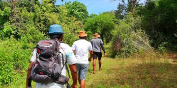 වාලුකා නදිය මැද ලෙහෙසි නැති ගමන