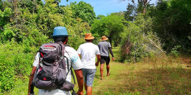 වාලුකා නදිය මැද ලෙහෙසි නැති ගමන