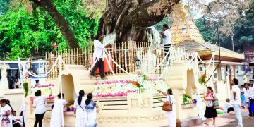බලගතු බෝධි පූජාවක් තියන්නේ කොහොමද