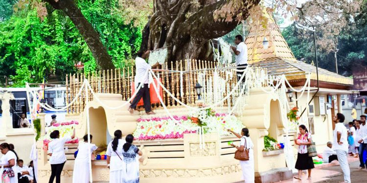 බලගතු බෝධි පූජාවක් තියන්නේ කොහොමද