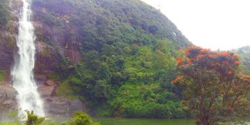 ගට්මෝර් අයිනේ මරේ මරු ඇල්ල