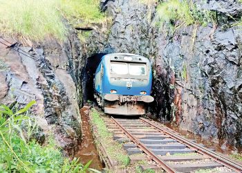 බිංගෙවල් දෙකක් මැද තනිවුණ මීනගල්ල