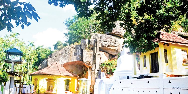 දළදාව හංගපු සපු ගහ බලන්න වෑගමට එන්න