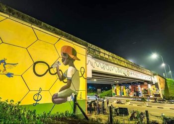 ගල් බිත්ති හැඩ කරන මල් වගේ කොල්ලො කෙල්ලො