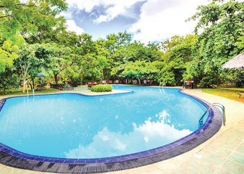 යාල එළිෆන්ට් රීච් හෝටලයෙන් දීමනා හා වට්ටම් රැසක්