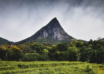 විජය රජු කුවේණිව එළවපු ලග්ගල