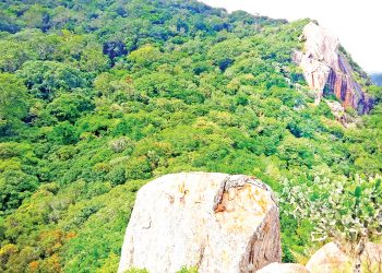 අංගම් උපන් රිටිගල