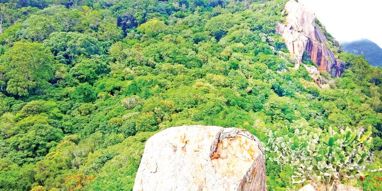 අංගම් උපන් රිටිගල