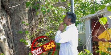 චම්පික ලියයි…