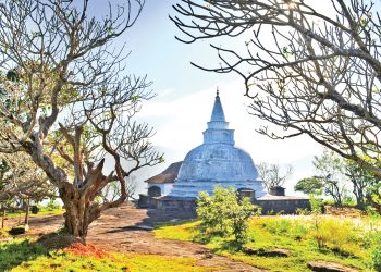 රජවරු දෙවිවරු ඇවිත් ගියපු දෙවනගල