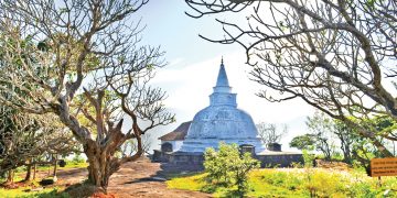රජවරු දෙවිවරු ඇවිත් ගියපු දෙවනගල