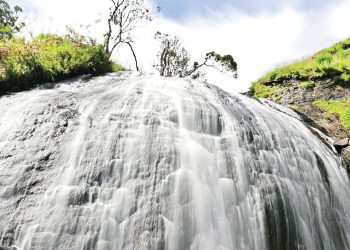 අඩියෙන් අඩියට නෙත සිත සනසන ගැරඬි ඇලි