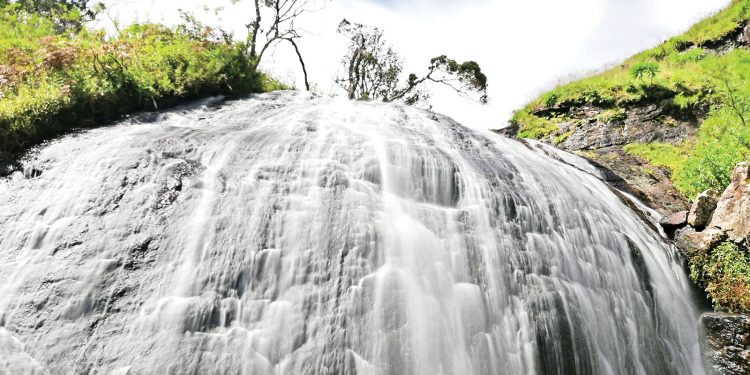 අඩියෙන් අඩියට නෙත සිත සනසන ගැරඬි ඇලි