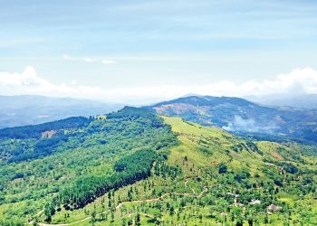 හන්තානේ කල්ලි ගැහුණු ජ`පුර සමනල්ලු