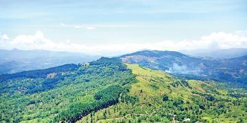 හන්තානේ කල්ලි ගැහුණු ජ`පුර සමනල්ලු