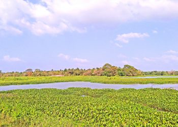 ඒ කටගමුව නෙවෙයි මේ