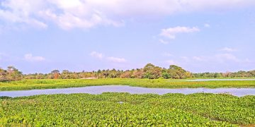 ඒ කටගමුව නෙවෙයි මේ