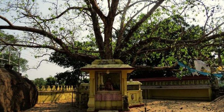 සද්ධාතිස්ස රජු හදපු උත්තර විහාරය