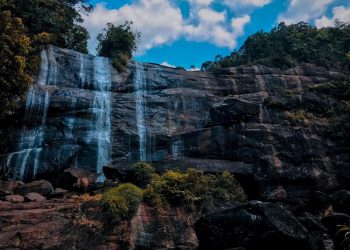 ගහකොළ අතරින් රිංගා ඇවිත් පහළට පණින රූමතියෝ