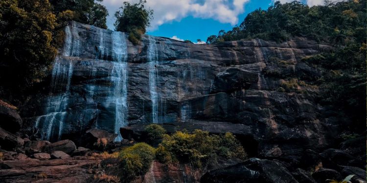 ගහකොළ අතරින් රිංගා ඇවිත් පහළට පණින රූමතියෝ