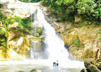 වැල්ලවාය සිසිල් කරන අලිහොඬය