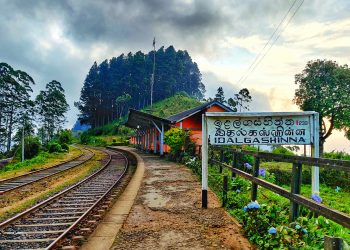 මේකත් යකාගේ අමුතු ගමනක්