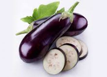 ගෙඩිය වගේම නැට්ටත් ගුණ වම්බටු