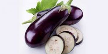 ගෙඩිය වගේම නැට්ටත් ගුණ වම්බටු
