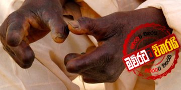 භයානකයි: ආයෙ ලාදුරු ඇවිල්ලා