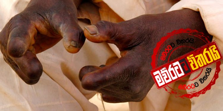 භයානකයි: ආයෙ ලාදුරු ඇවිල්ලා