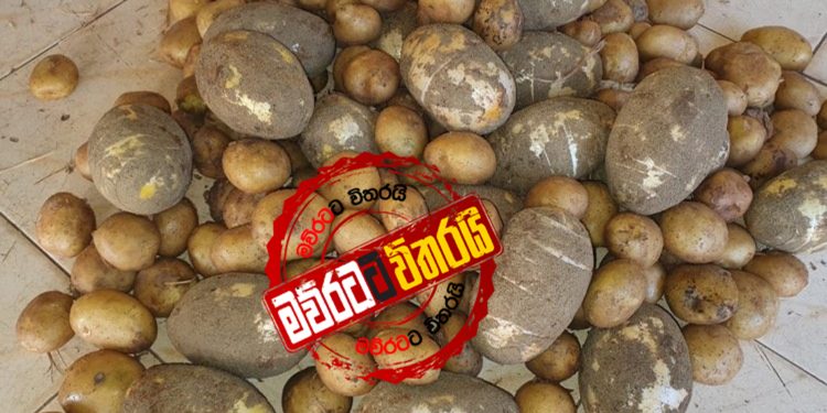 කොරෝනා අස්සේ කුඩු කිලෝ 100ක් ‌ගෙනා වැල්ලවත්තේ ‌කෝටිපතියා