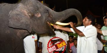 අලියද සජිත්ද? (උපුල් ‌ජෝශප් ප්‍රනාන්දු‌ගේ ගුරුදා විග්‍රහය)